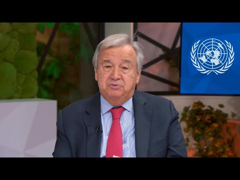 Vídeo: Quem não está na ONU?