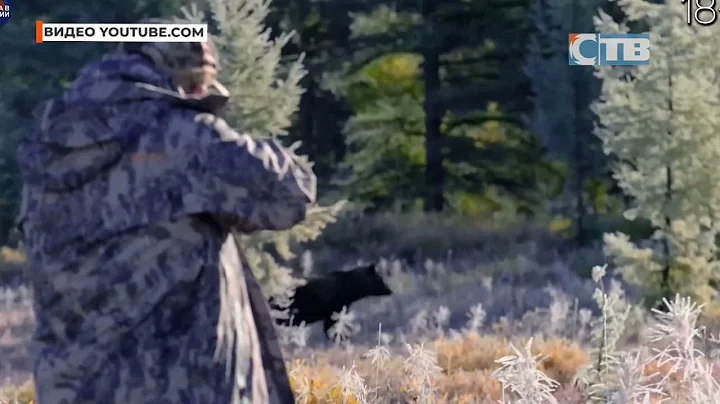 27.08.2025 Экзамен для получения охотничьего билета.