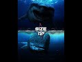 livyatan vs megladon #1v1 #megladon #livyatan #shorts