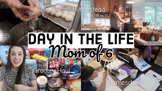 DAY IN THE LIFE OF A HOMESCHOOL MOM OF 6 (Grocery Haul, Cooking, &amp; Cleaning)