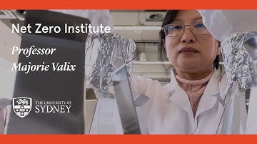 Net Zero Institute: Professor Marjorie Valix