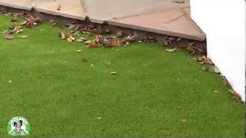 LazyLawn ® - How to care for your Artificial Lawn