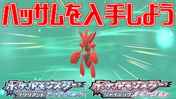 ポケモンダイパリメイク ハッサムを入手しよう ポケットモンスター ブリリアントダイヤモンド シャイニングパール Pocket Monsters Mp3