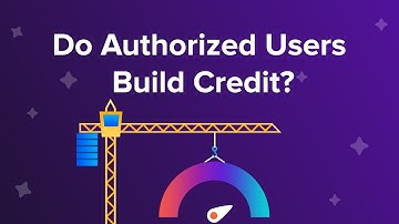 Do authorized users build credit?