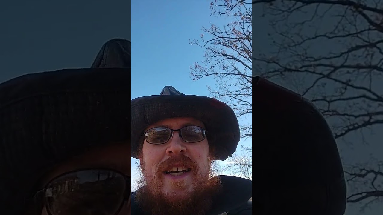 DEATH WISH 5. Charles Bronson movie review shorts