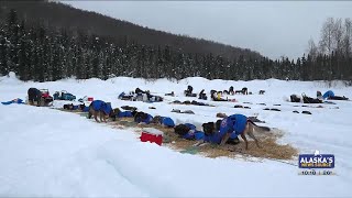 Learning what life is like for an Iditarod rookie