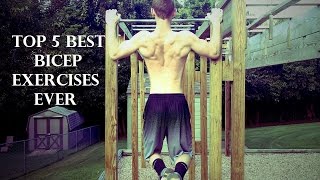 Top 5 Best Bicep Exercises Of All Time For HUGE Biceps!