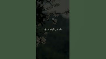 تلاوه خاشعه ارح قلبك وسمعك الشيخ خالد الجليل حالات واتس اب