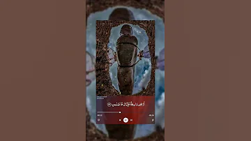 Ya Ibadiyallazi Na Amanu Recitequraan786 Islamicrecitation Quranrecitation Quran Shortsfeed 