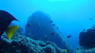 PB020225 Buceo con Dolphin Dive Centre en Isla El Carmen Loreto Baja California Sur