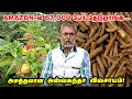 Amazon 67000     ashwagandha   pasumai vikatan