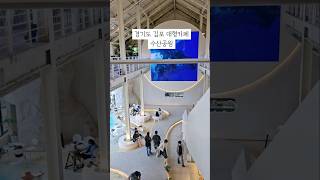 경기도 김포 대형카페 수산공원베이커리카페+수족관+동물원+키즈카페+포토존이 모두 한곳에  #김포카페 #김포대형카페 #김포수산공원 #수산공원카페 #김포몬스터리움