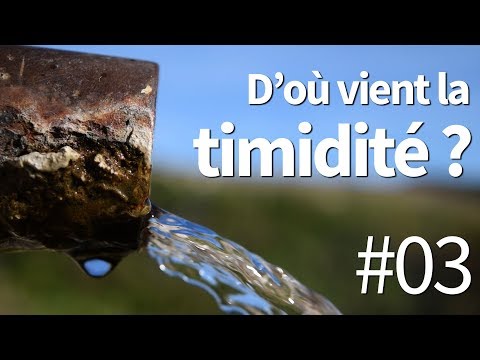 Vidéo: La Timidité Des Enfants : Causes Et Conséquences