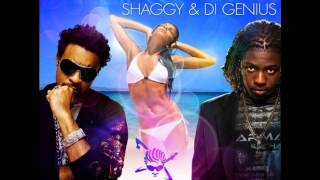 Watch Shaggy Falling In Love video