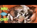 21 - TRÚNG CÁ NÂU, CÁ CHÉT NỮA RỒI CẢ NHÀ ƠI