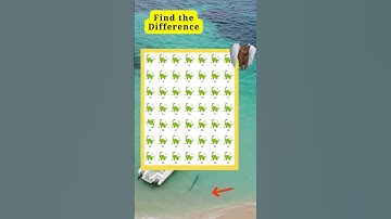 find the diff #169 #difference eyegames spot