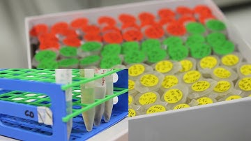 Neutral Evolution Shapes Lifespan and Aging / Cell, July 27, 2019 (Vol. 178, Issue 2)