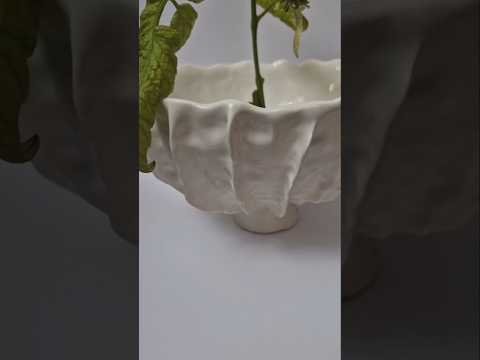 ظرف دستساز سرامیکی خاص