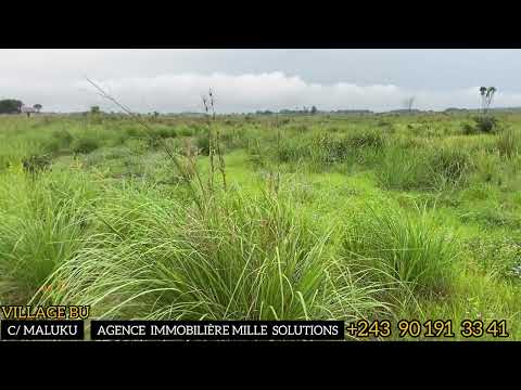 21 11 2025 VENTE DE 5 HECTARE VILLAGE BU C MALUKU 850 PAR HECT 243901913341