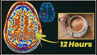 कॉफी पीने वाले जरूर देखे | What A Small Coffee Does To Your Brain.