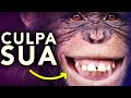 por que MACACOS vão ao DENTISTA?