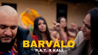 Vignette de la vidéo "P.A.T. x Kali - Barválo |Official Video|"