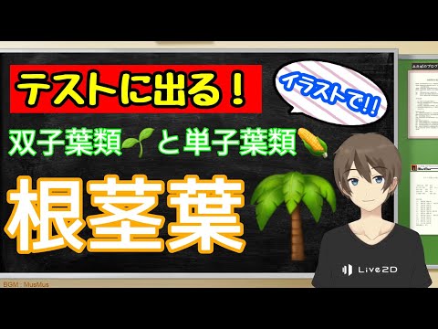 根・茎・葉のつくり～双子葉類と単子葉類～（植物と動物の分類②）【中1理科授業動画（アニメ）】