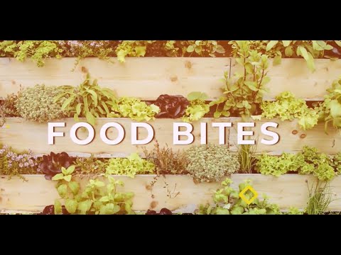 Food Bites speaks to Meals on Wheels