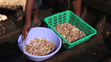 Module 2 - GOOD PRACTICE FOR FISHERMEN