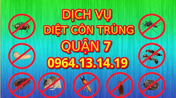 DỊCH VỤ DIỆT CÔN TRÙNG QUẬN 7 | DIỆT CÔN TRÙNG QUẬN 7 | CÔNG TY DIỆT CÔN TRÙNG QUẬN 7