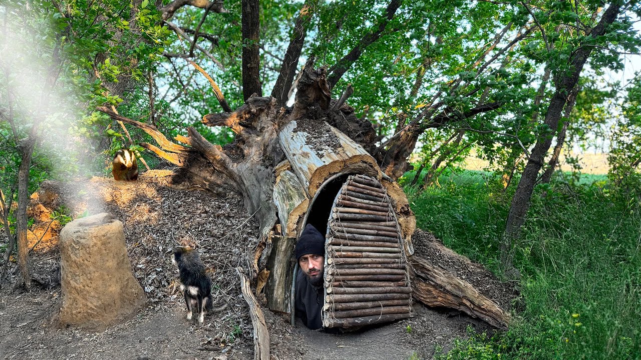 Building a warm and cozy survival shelter deep inside a large tree ...