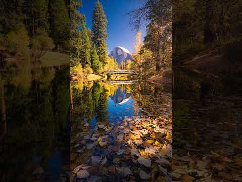 Video: Yosemite në vjeshtë: Udhëzues për motin dhe ngjarjet