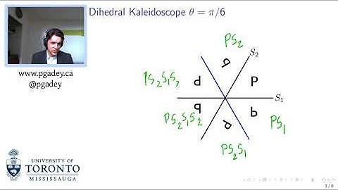 Reflection Groups and Coxeter Geometries