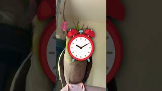 IF YOU SEE THIS BIRD RUN AWAY AND CALL THE POLICE