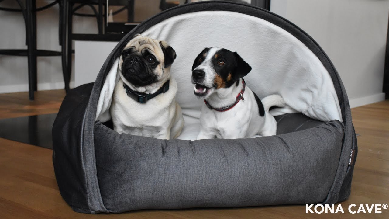 KONA CAVE® Das beste Luxus-Kuschelhöhlenbett für Katzen und Hunde - Patentiertes Design - Aufbau
