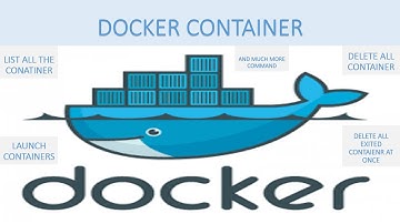 Docker Command (Launching, Listing, Terminating, Stop, Remove Docker Container)
