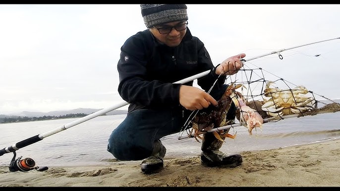 How to catch crab with a crab hawk - Oregon crabbing 