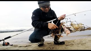 Best Trap for Catching Crabs from Shore - Oregon Oregon 