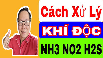Cách xử lý khí độc NH3, NO2, H2S trong ao nuôi tôm/ Nguyễn Đắc Lợi.