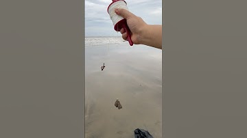 ra biển câu cá phần 1 #shorts #fishing #anfishing1610 #cauca