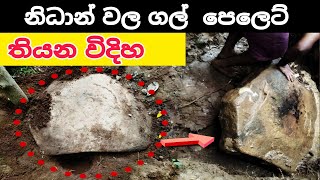 නිධාන් පෙලෙට් ගලවමු ashiya production nidan wasthu nidan salakunu nidan godaganima