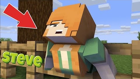 STEVE I