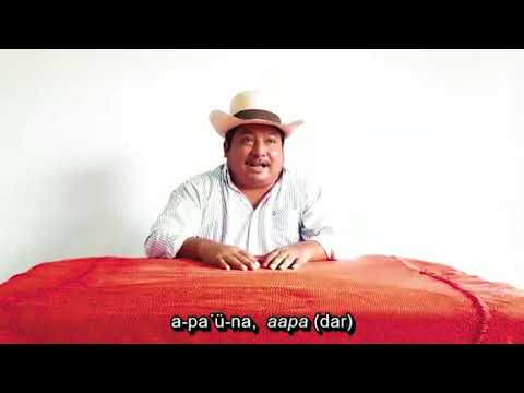 Apa'üna (dote), su significado desde la Cosmogonía wayuu Apa'üna (dote), su significado desde la Cosmogonía wayuu
