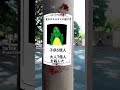 逃げろ