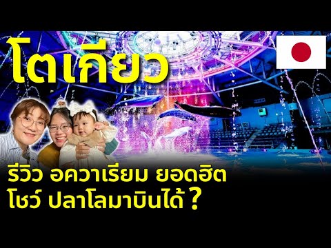 ผลสลากกินแบ่งรัฐบาล วันที่ 1 พย. 2567 ผลสลากกินแบ่งรัฐบาล วันที่ 1 พย. 2567