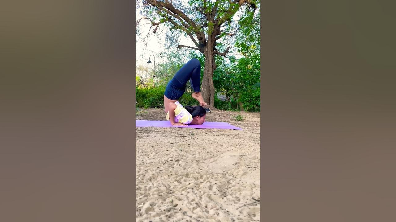 Ganda bherundasana yoga pose #shorts #youtubeshorts #yoga #viral @yoga ...