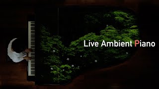Live Ambient Piano ／ Yumi Nanatsutani