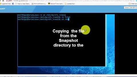 SNAPSHOT TECHNOLOGY FOR DATA PROTECTION- NETAPP