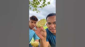 Makan mengkudu bikin muntah #mengkudu #shorts