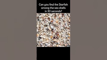 Find the hidden objects in this picture. Fun puzzles to play. #shorts